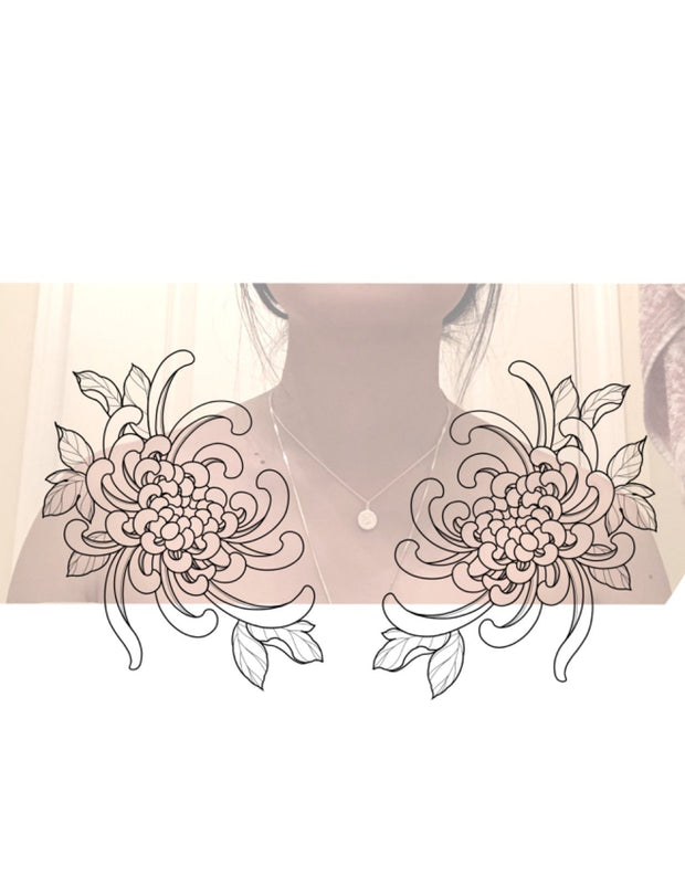 Chrysanthemum - Shoulders