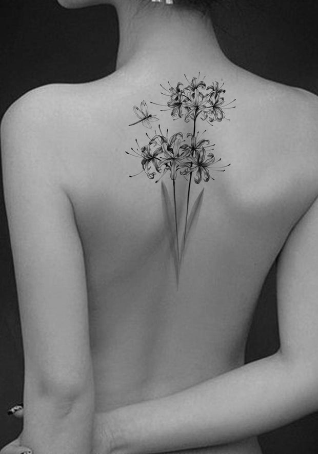 Spider Lily and Dragonfly