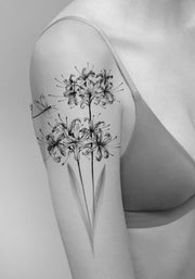 Spider Lily and Dragonfly