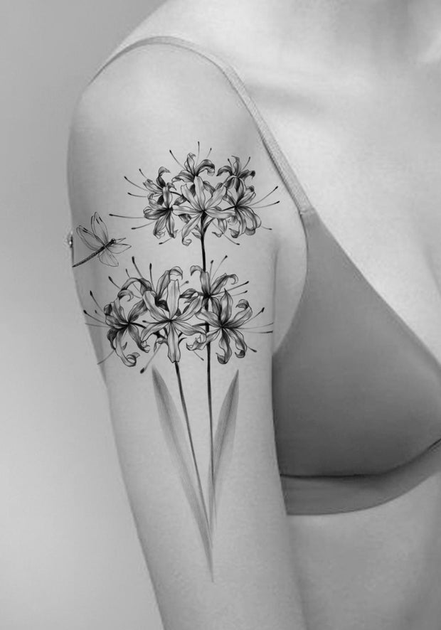 Spider Lily and Dragonfly