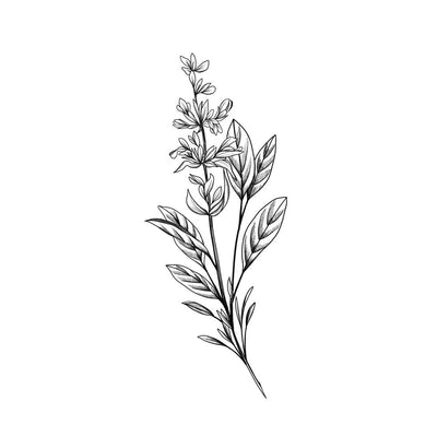 Sage Sprig