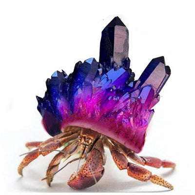 Hermit crab with crystal shell