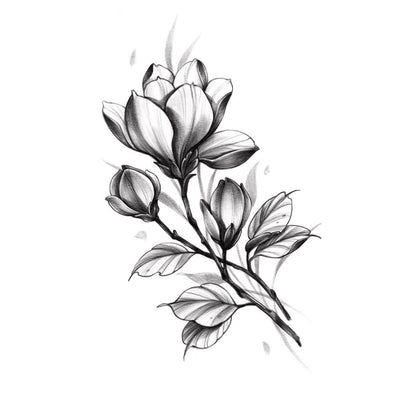 Magnolia