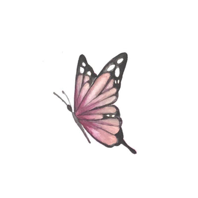 Single Butterfly #3