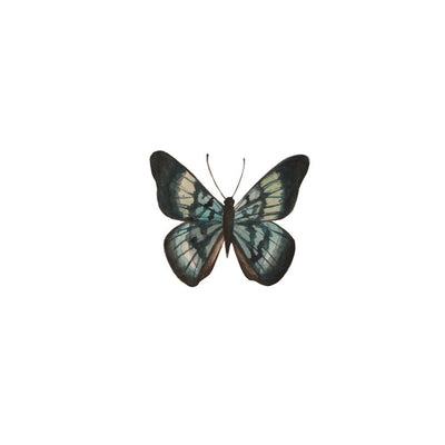 Painterly Butterfly