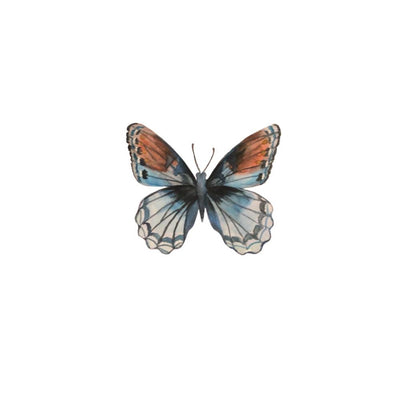 Painterly Butterfly #3