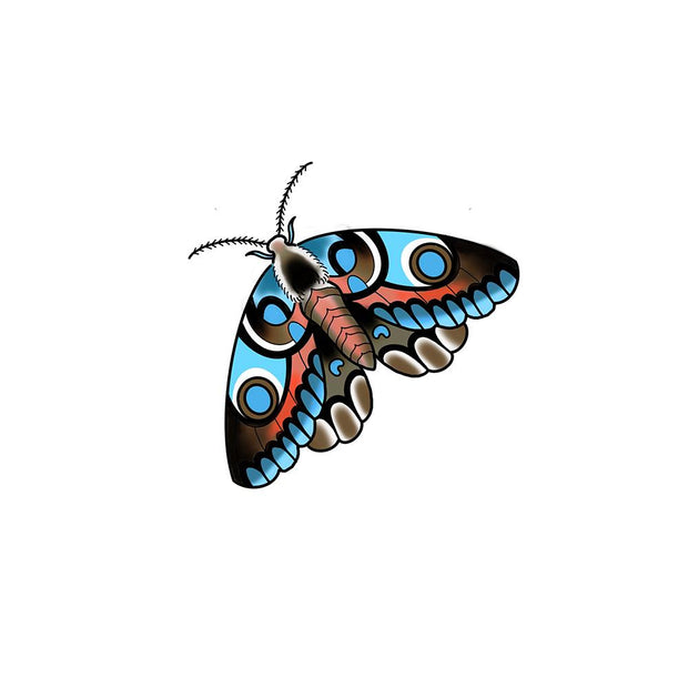 Blue Peach Traditional Moth