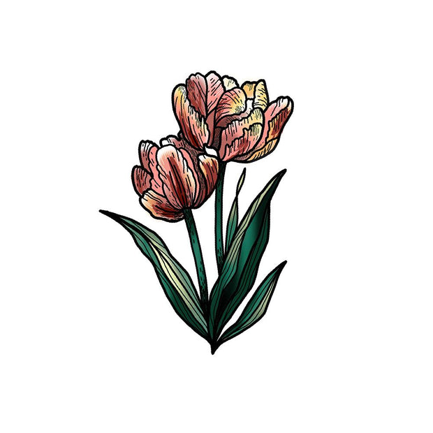 Two Tulips