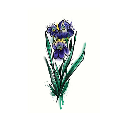 Blue Purple Iris