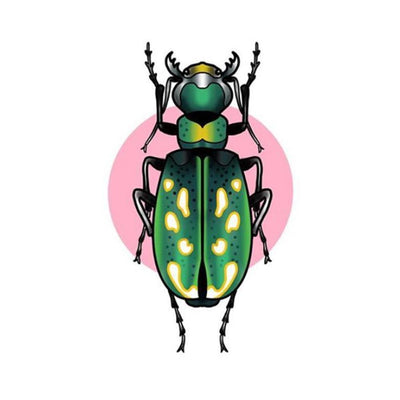 Green Beetle with Pink Circle