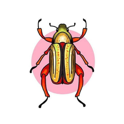 Yellow and Orange Beetle with Pink Circle