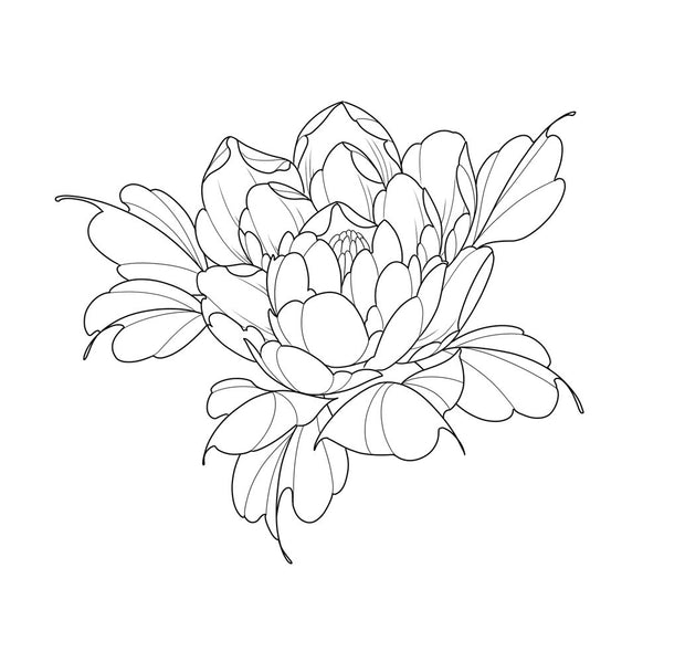 Peony chest or back piece