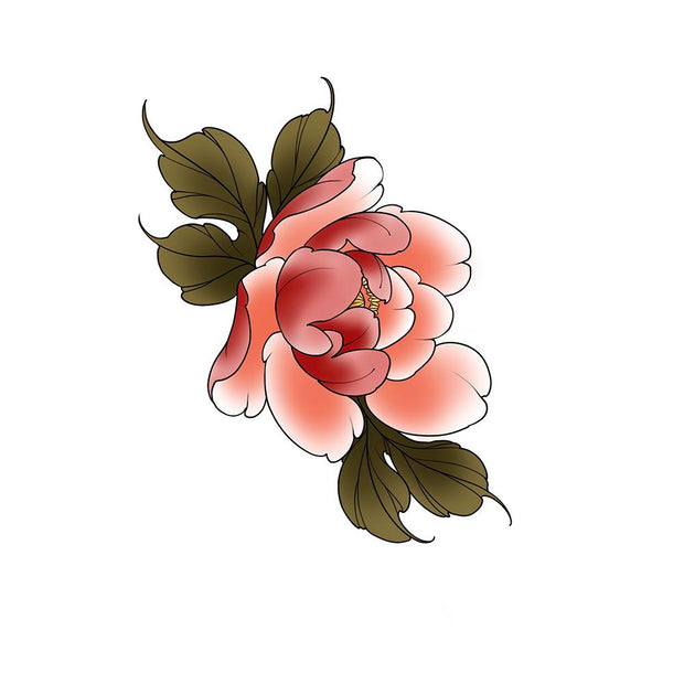 Color Peony