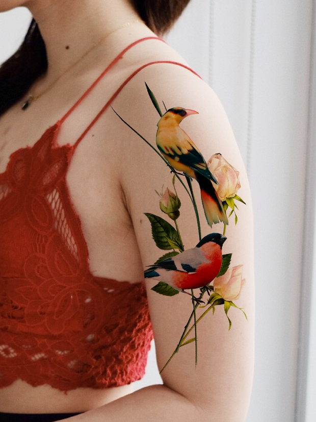 Resting birds and Vintage Roses