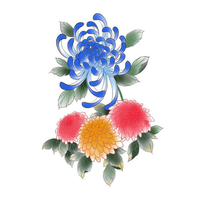 Color Chrysanthemum